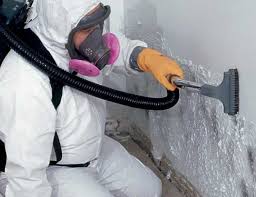 Biohazard Mold Removal in Hideout, UT